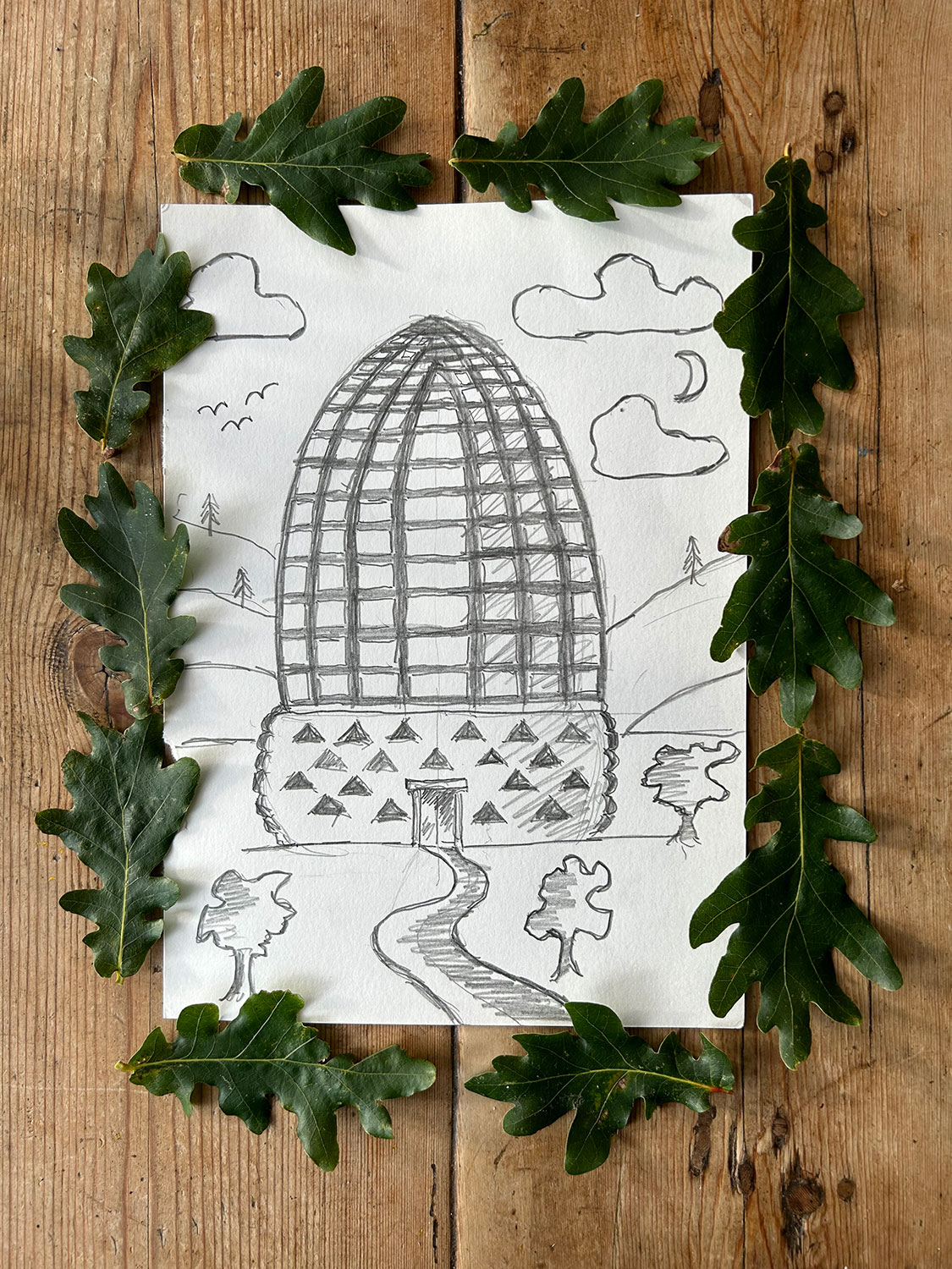 The Acorn (architects drawing)