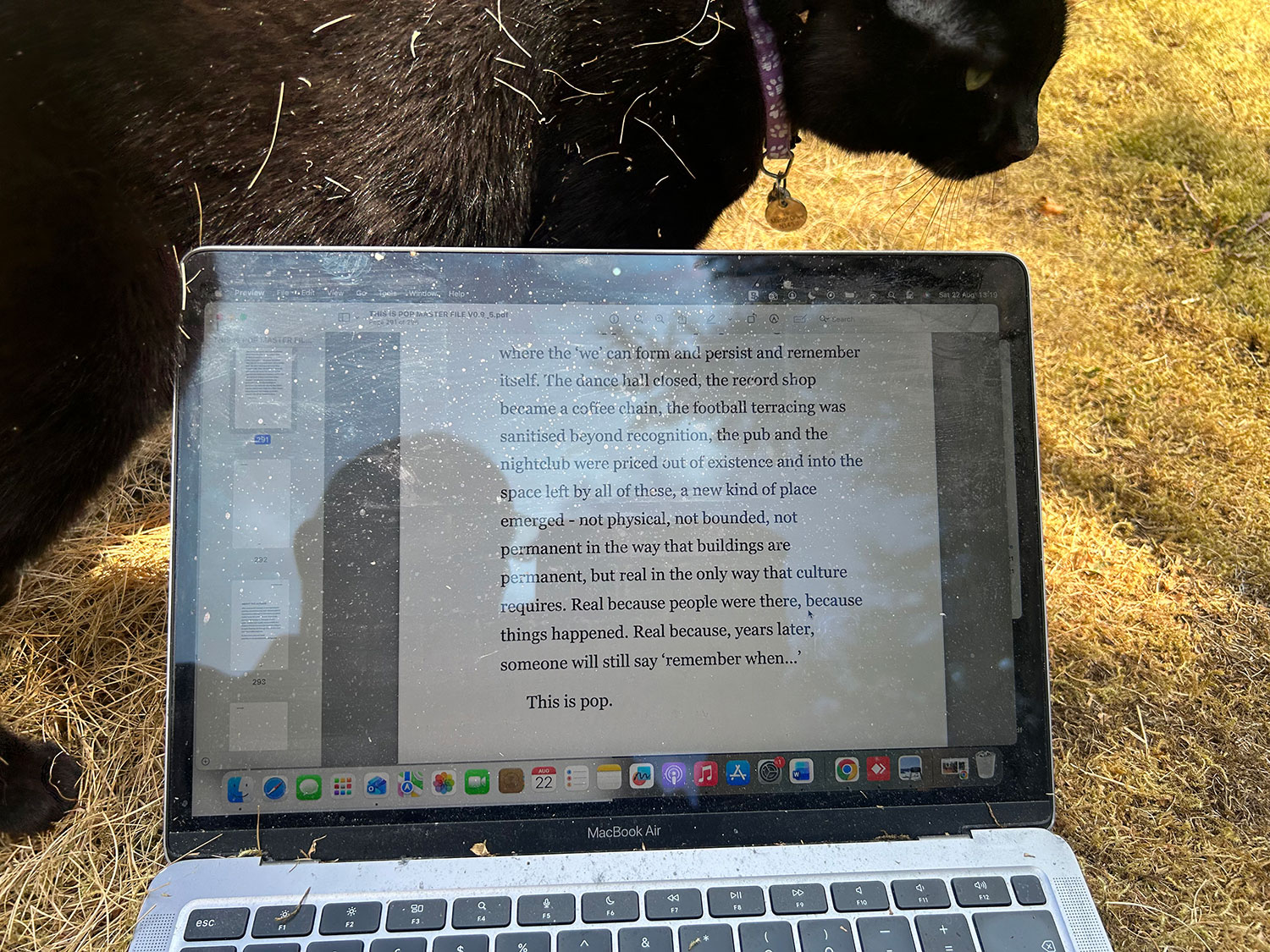 Laptop screen