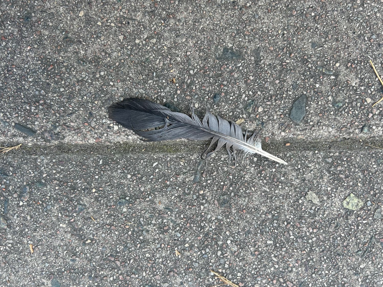 Today’s dose from The Bleak City Art Movement