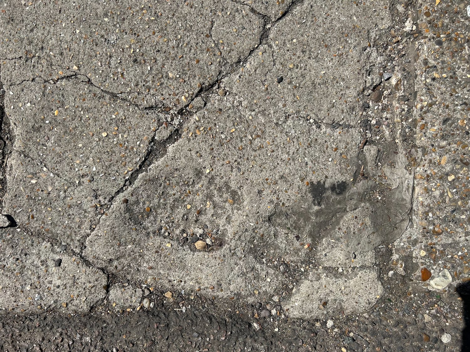 The Bleak City Art Movement