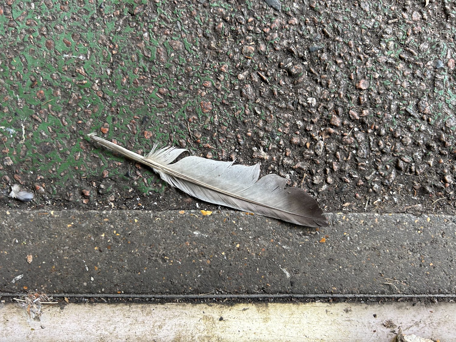The Bleak City Art Movement
