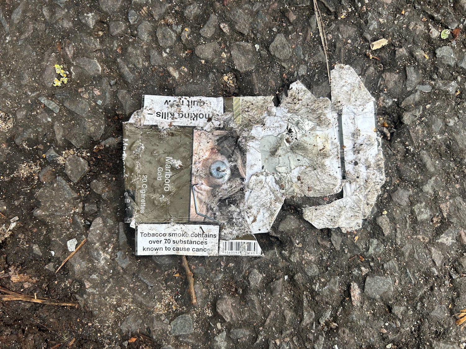 The Bleak City Art Movement