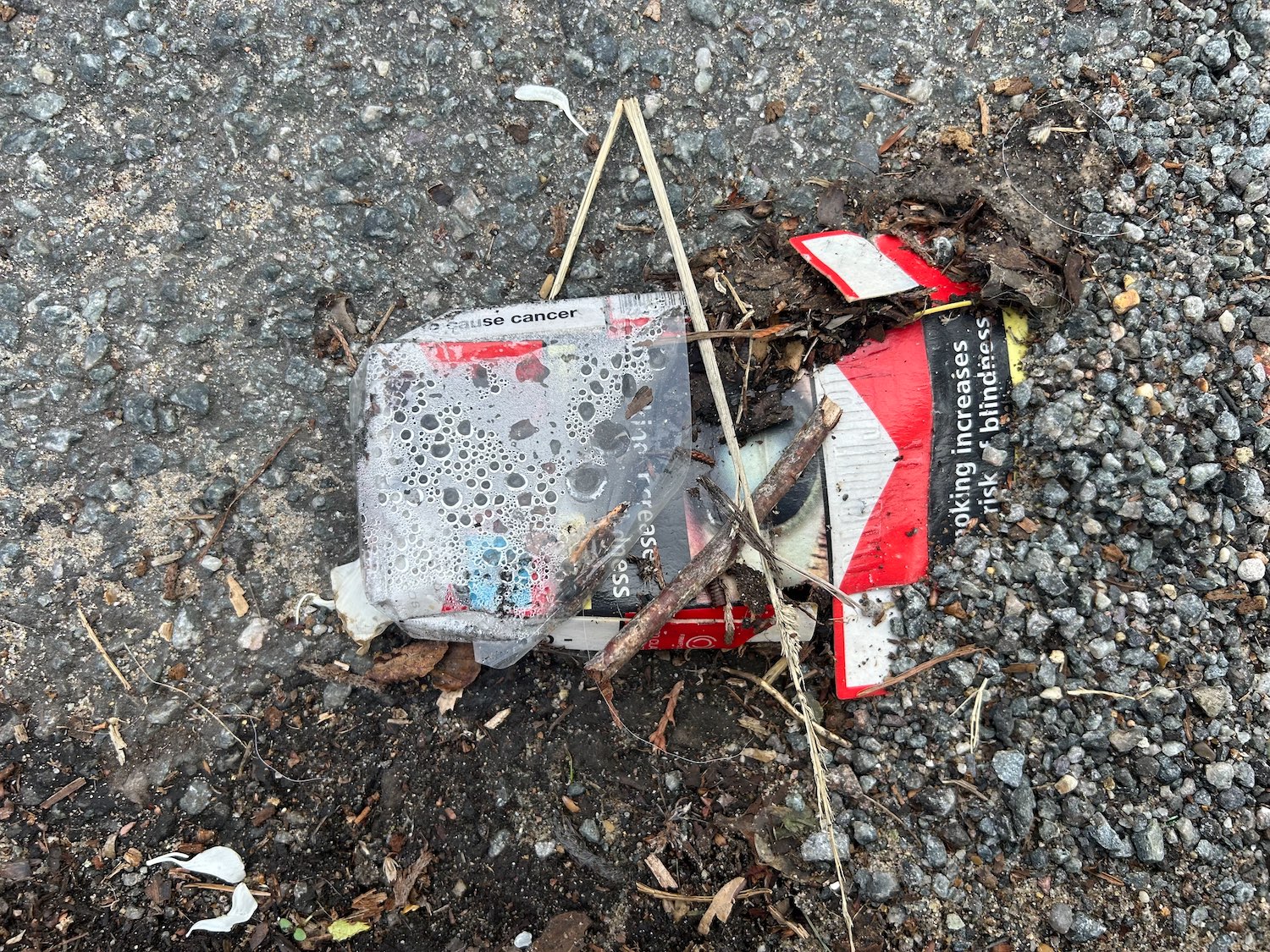 The Bleak City Art Movement