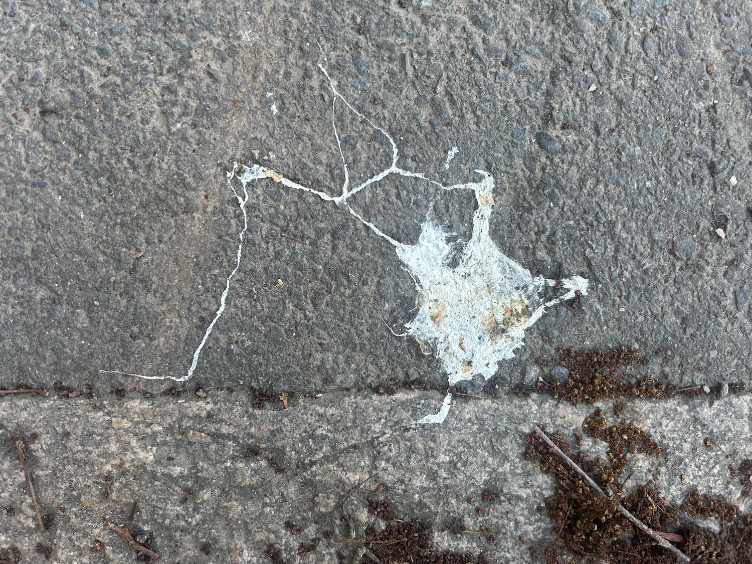 Today’s dose from The Bleak City Art Movement