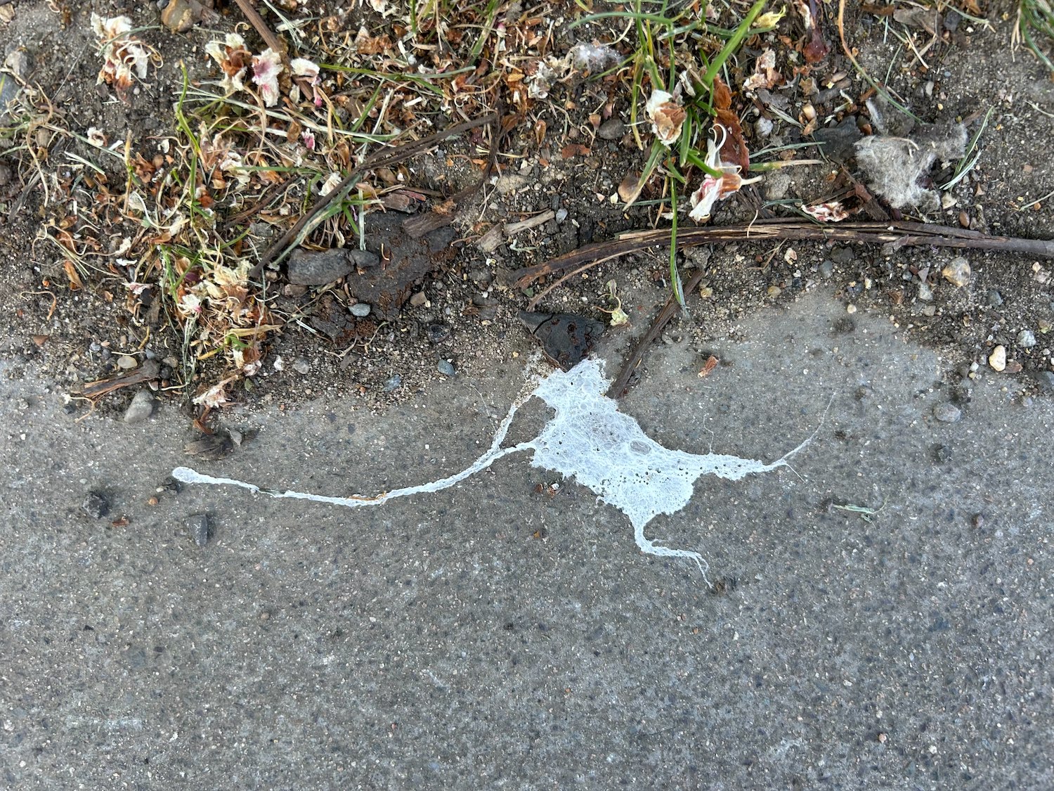 Today’s dose from The Bleak City Art Movement