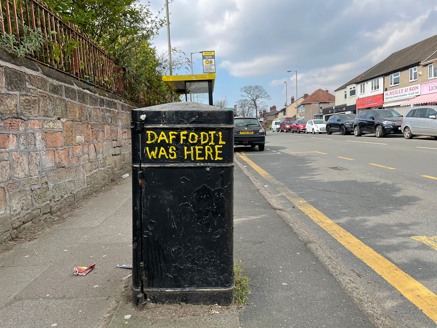 DAFFODIL WAS HERE