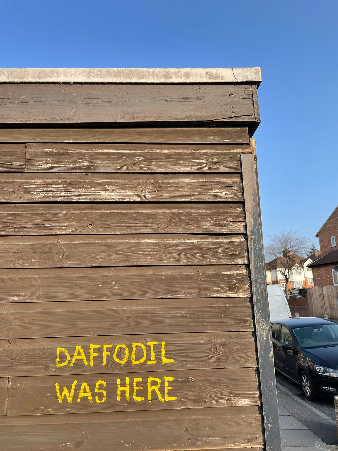 DAFFODIL WAS HERE