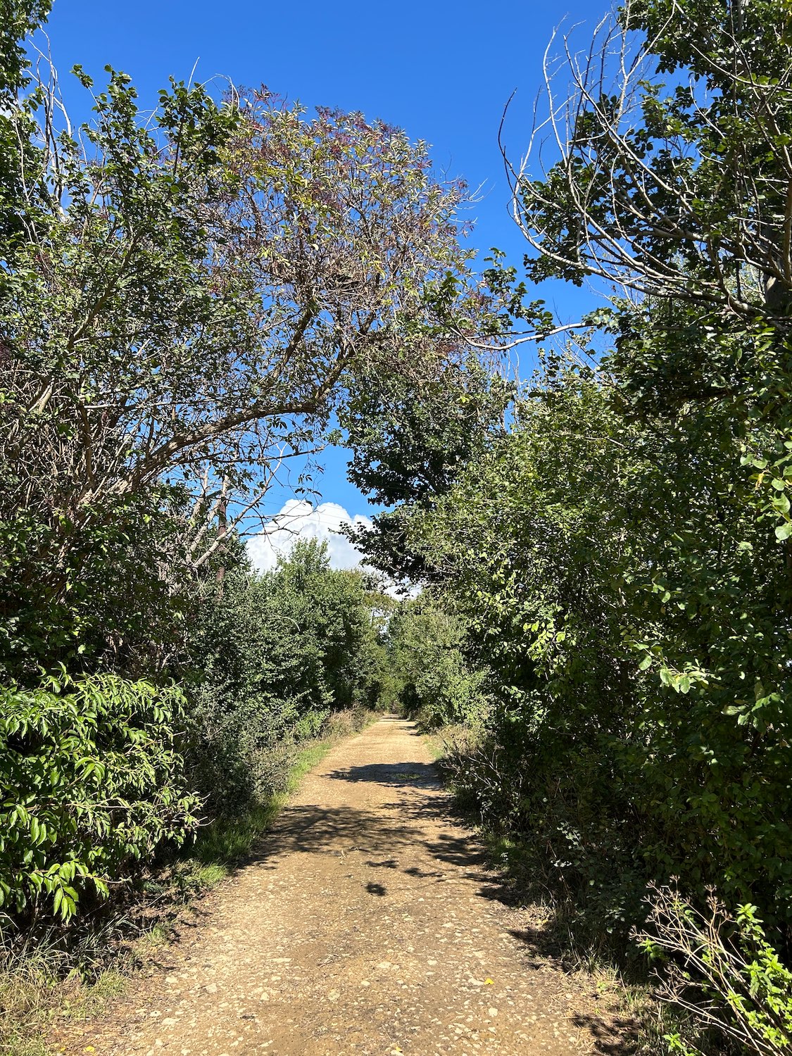 The Great Lane - Today