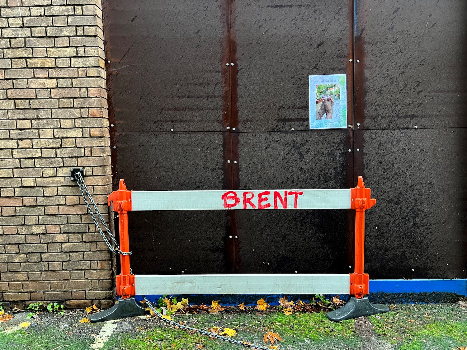 The Tied Hands Poster in the wild