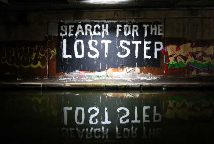 SEARCH FOR THE LOST STEP (2019)